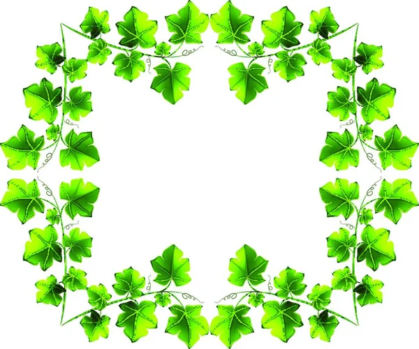 Leafy Border Design Vector Illustratie — Stockvector