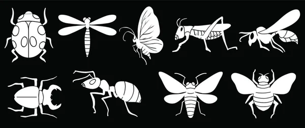 Různé Vektorové Ilustrace Hmyzu — Stockový vektor