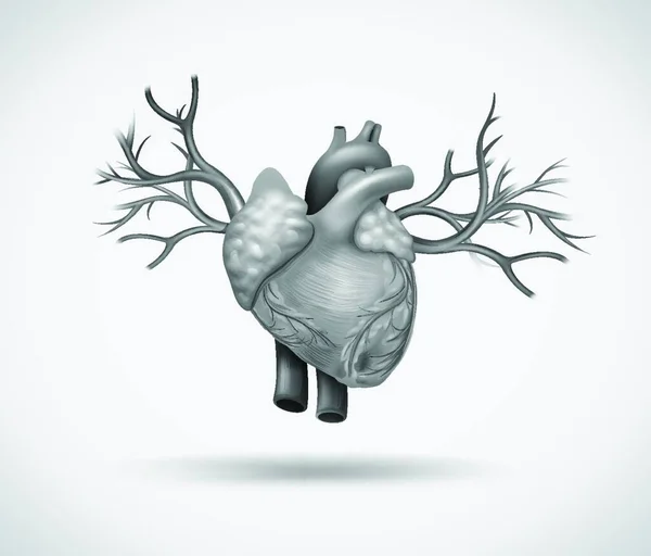 Ludzkie Serce Pajęczyna Prosta Ikona Ilustracja — Wektor stockowy