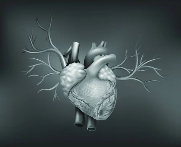 Corazón Humano Ilustración Simple Del Icono Tela — Archivo Imágenes Vectoriales
