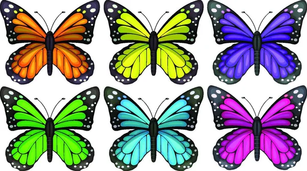 Färgglada Fjärilar Vektor Illustration — Stock vektor