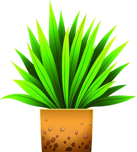 Plant Pot Icon Vector Illustration — Stock Vector