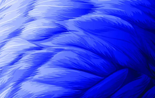 Mooie Feather Vectorillustratie — Stockvector