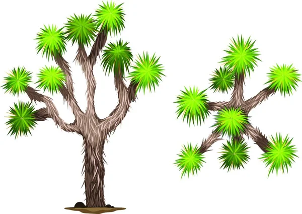 Eine Yucca Brevifolia Vektorillustration — Stockvektor