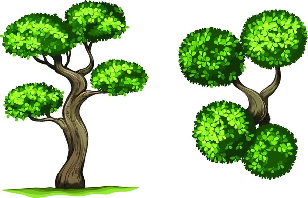 Iospyros Rhodocalyx Trees Vector Illustration — Stock Vector