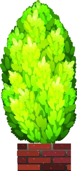 背の高い装飾的な観葉植物ベクトル図 — ストックベクタ