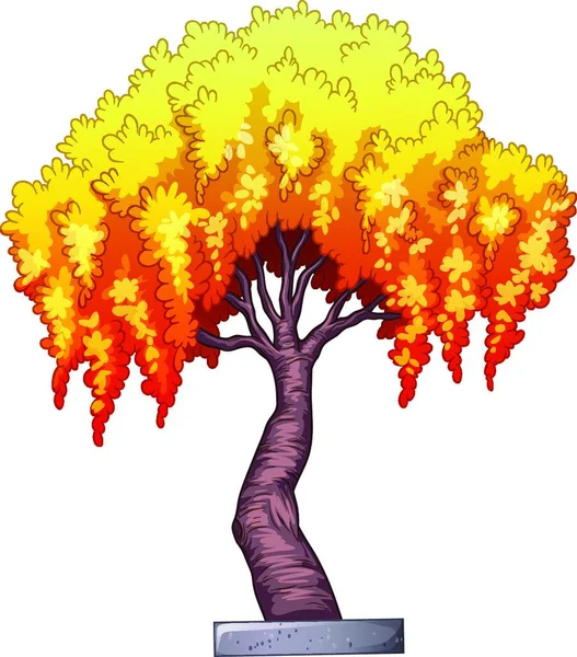 オレンジの木のベクトル図 — ストックベクタ