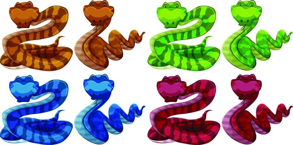 Slangen Mooie Vector Illustratie — Stockvector