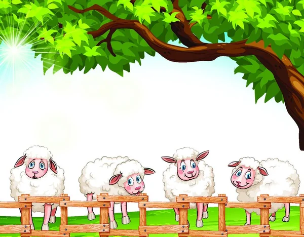 Čtyři Ovce Moderní Vektorové Ilustrace — Stockový vektor