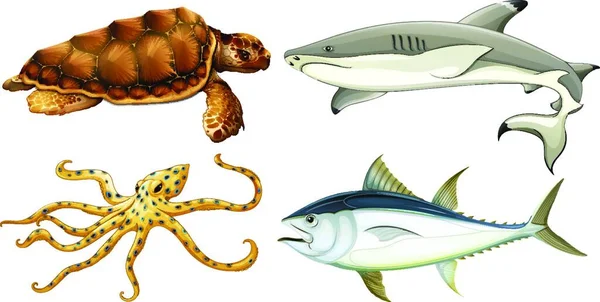 Different Sea Creatures Beautiful Vector Illustration — Stock Vector
