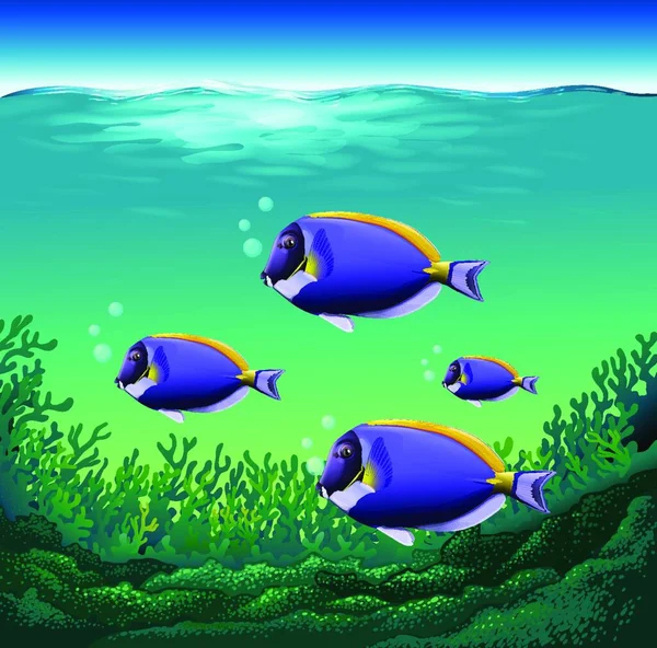 Ocean Fisch Schöne Vektor Illustration — Stockvektor