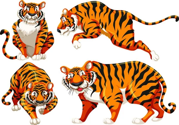 Tiger Schöne Vektor Illustration — Stockvektor