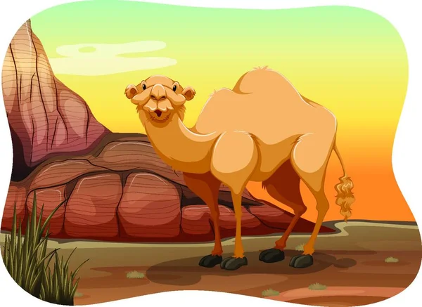 Иллюстрация Верблюда — стоковый вектор