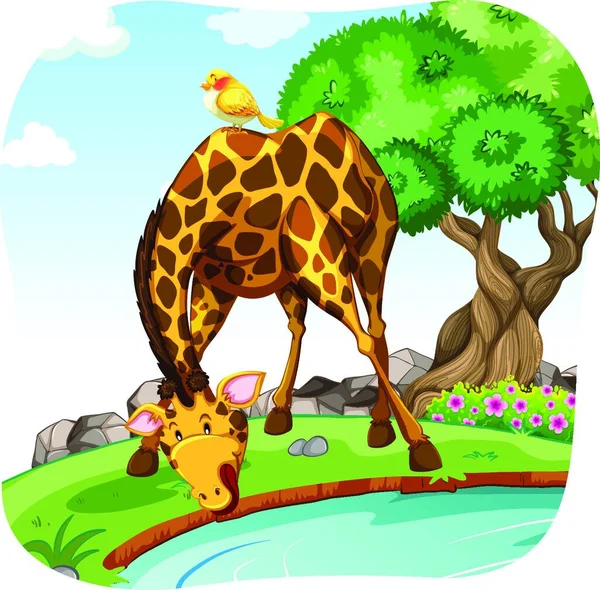 Illustration Der Giraffe — Stockvektor