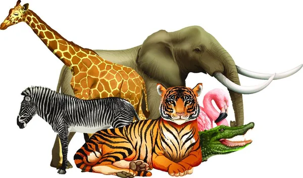 Zwierzęta Kreskówek Kolorowe Ilustracje Dla Dzieci — Wektor stockowy