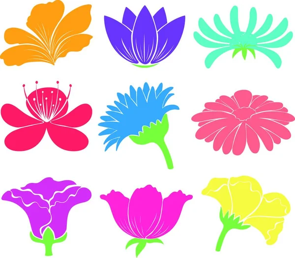 Color Vector Designed Pattern Flowers — Stock Vector