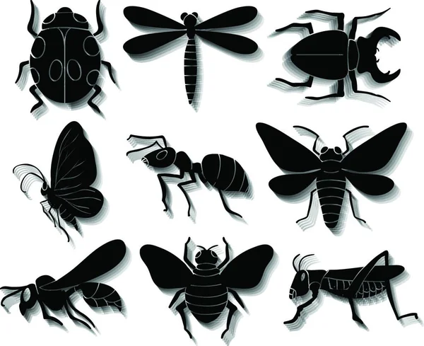 Set Insects Vector Illustration — Stock Vector