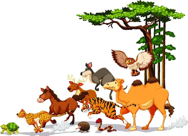 Wildlife Different Animals Vector Illustration Simple Design — Stock Vector