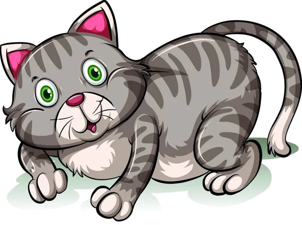 Fat Gray Cat Vector Illustration Simple Design — Stock Vector