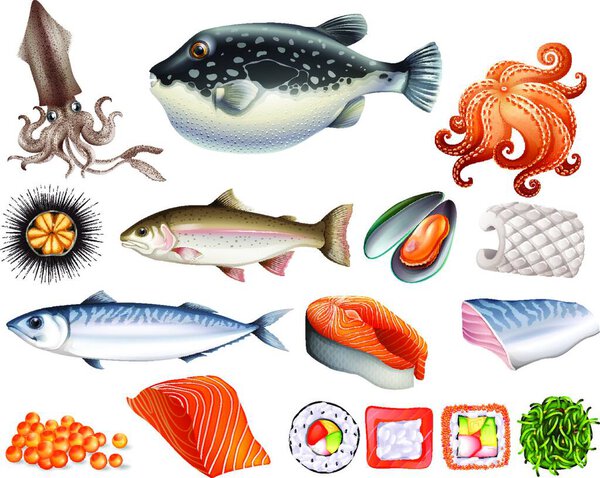 Seafood set, vector illustration simple design