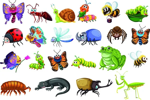 Conjunto Insectos Incluyendo Mariposas Hormigas Escarabajos Lagartos Ranas Abejas — Vector de stock