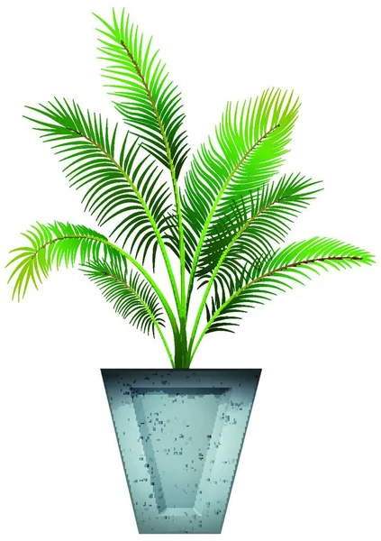 Rostlina Hrnci Izolovanou Půdou — Stockový vektor