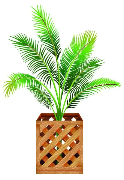 Planta Vaso Isolado — Vetor de Stock