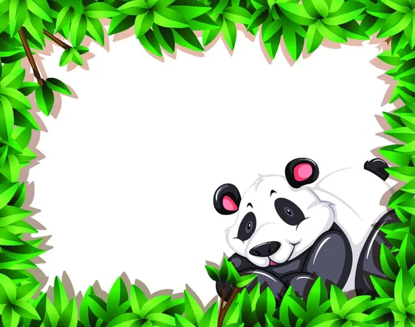 Panda Kolorowy Wektor Ilustracji — Wektor stockowy