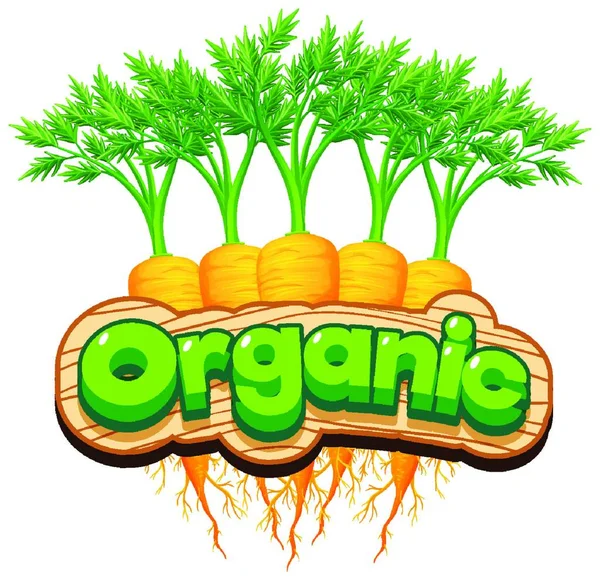 Font Design Word Organic Fresh Carrots — Stock Vector