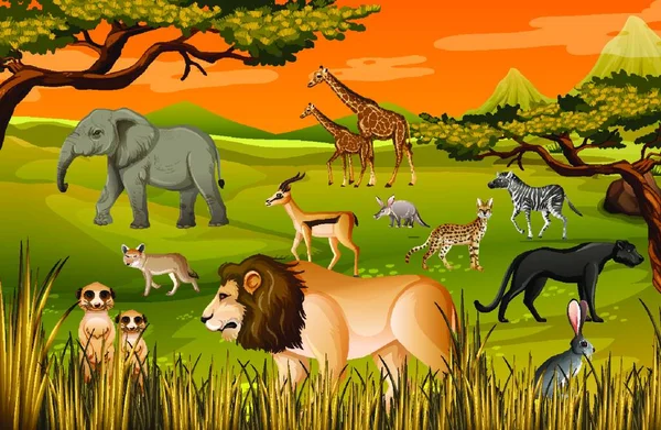 Zwierzęta Kreskówek Kolorowe Ilustracje Dla Dzieci — Wektor stockowy