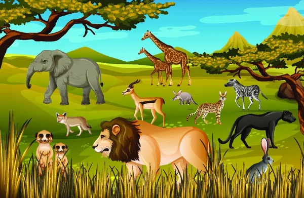 Cartoon Animals Colorful Illustration Kids — Stock Vector