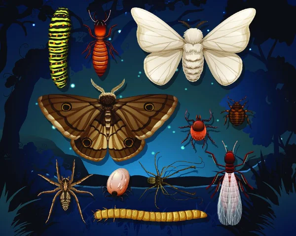 Sada Různých Izolovaných Hmyzu — Stockový vektor