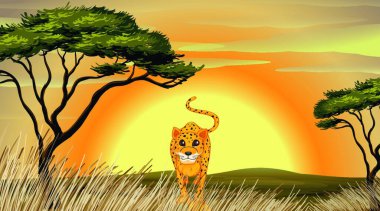 Leopar, renkli vektör çizimi 
