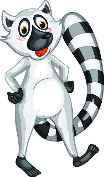 Bay Lemur Vektör Illüstrasyonu — Stok Vektör