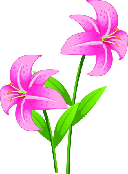 Çiçeklerle Çizilmiş Renk Vektörü — Stok Vektör