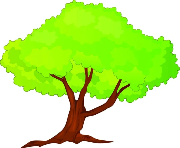 Yeşil Ağaç Vektör Illüstrasyonu — Stok Vektör