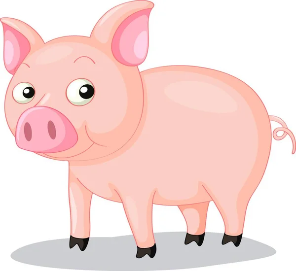 Cute Pig Vector Illustration — Stock Vector
