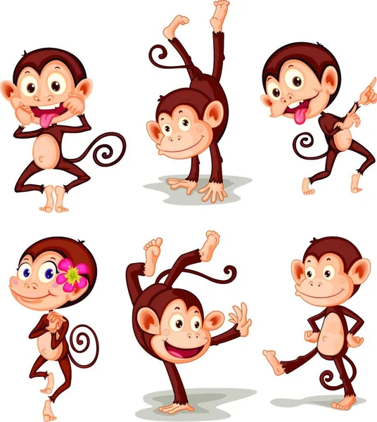 Illustration Monkey Serien — Stock vektor