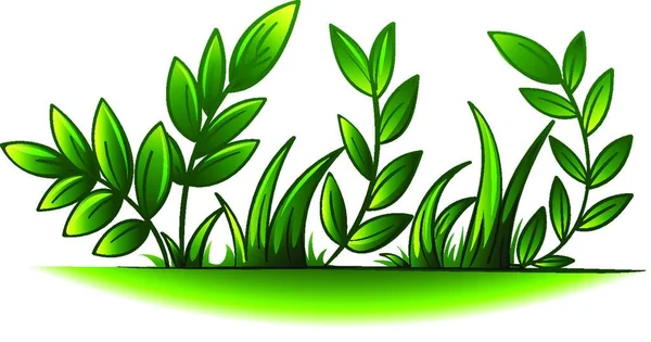 Yeşil Bitkiler Vektör Illüstrasyonu — Stok Vektör