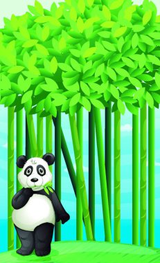 Panda, renkli vektör çizimi 