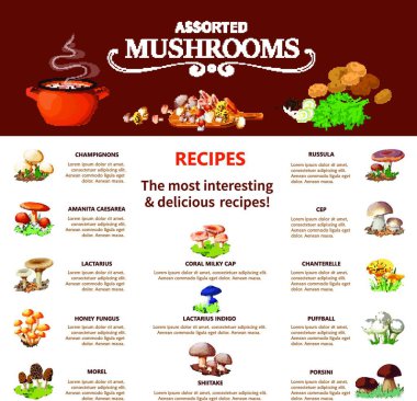 Bilgi şablonu, iş konsepti 