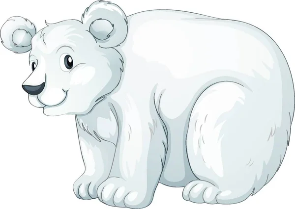 북극곰 일러스트 — 스톡 벡터