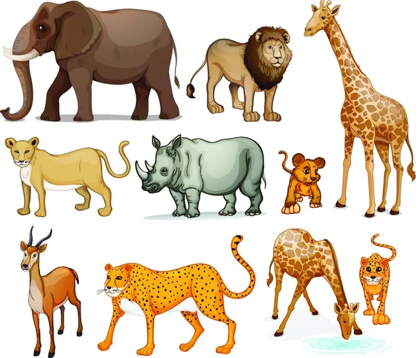 Carta Colorata Con Simpatici Animali Dei Cartoni Animati — Vettoriale Stock