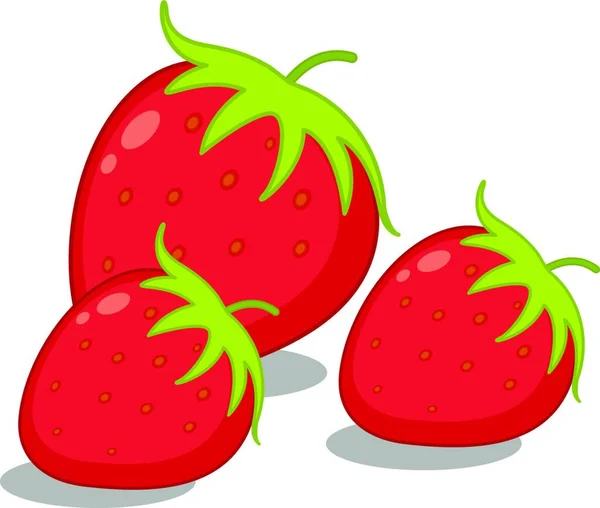Strawberries Berries Vector Illustration — Stock Vector