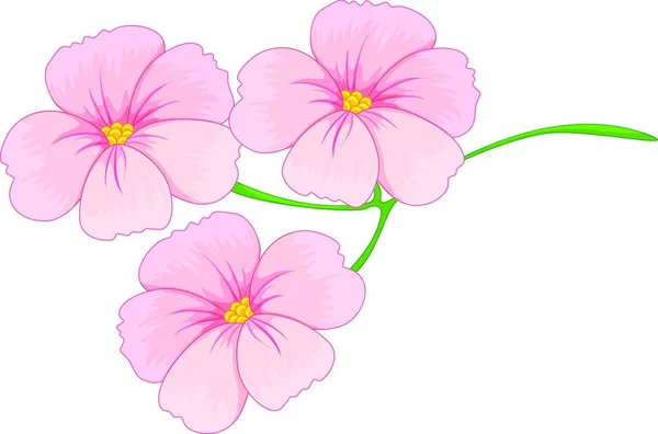 Beautiful Flowers Template Vector Illustration — Stock Vector
