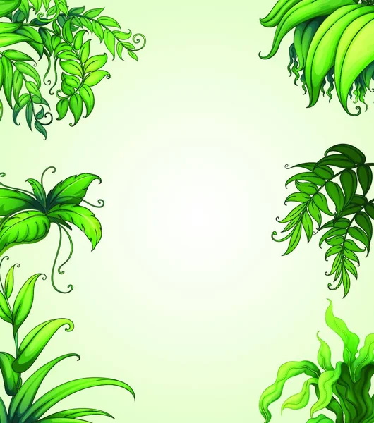 Illustration Der Verschiedenen Blätter — Stockvektor