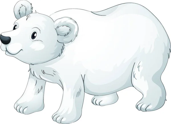 Ilustración Del Oso Polar — Archivo Imágenes Vectoriales