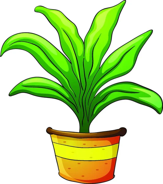 Illustration Vectorielle Pot Plante — Image vectorielle