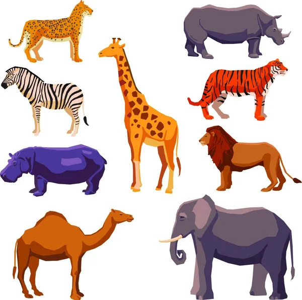 Tarjeta Colorida Con Animales Dibujos Animados Lindos — Vector de stock