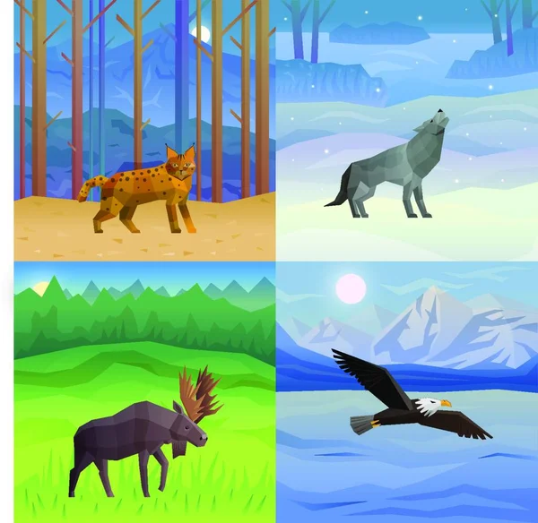 Animals Background Set Vector Illustration — Stock Vector
